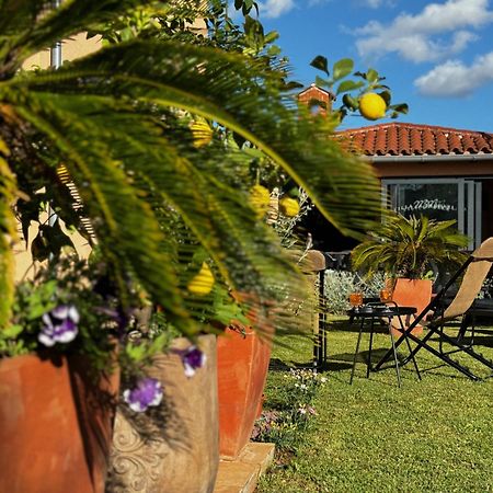Villa Mihaela Fažana Kültér fotó